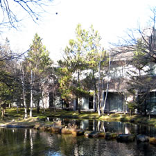 �G�N�V�u��T���N�`���A�����B��